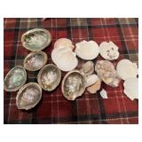 Seashells and beautiful??