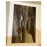 Signed Robert Bateman print