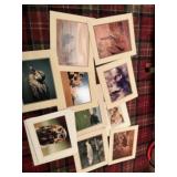 Photography art including elephant and giraffe