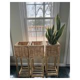 3 woven rattan and bamboo plant stands