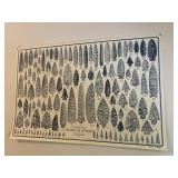 Arrowhead, identification poster, illustrated and