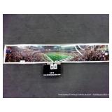 FRAMED PANORAMIC OF 1994 SUPER BOWL, DALLAS COWBOY