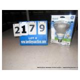 PACKAGE: GE REVEAL FLOOD LIGHT