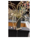 Lighted  arrangement