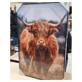 bull