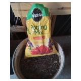 Large Pot & Soil