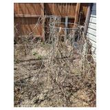 4 tomato cages & low trellis/fence