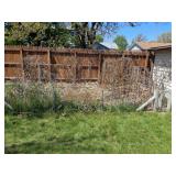 Tomato cages 54" tall YOU PULL