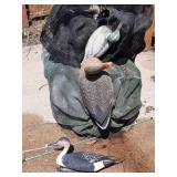 Various duck decoys
