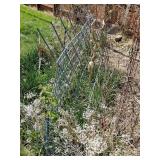 Vine vegetable garden arch 52wx49h
