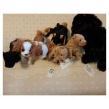 Beanie Baby plush animals - dogs