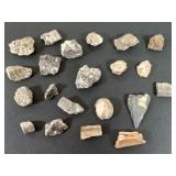 Fossils