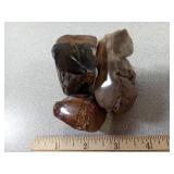 Face Polished Petrified Wood