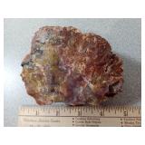 Arizona Rainbow Petrified Wood