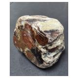 Petrified Wood slab face polish