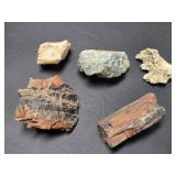 Petrified Wood Crystals minerals