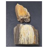 Petrified Wood