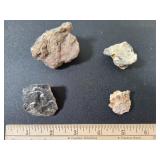 *Fossils