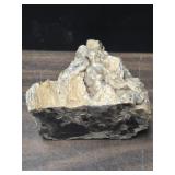 Crystal /Petrified wood conglomerate