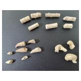 *Fossilized Crinoid