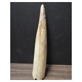 Fossil tooth / tusk 9.5"