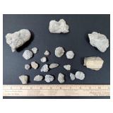 Fossils