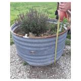 Galvanized tank planters 4'