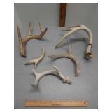 Antlers
