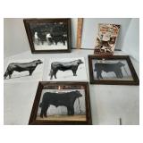 Show bull pictures & Purina farm dog booklet