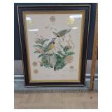 > Governor Signed Meadowlark picture