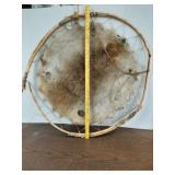 > Beaver pelt stretched laced onto a bent wood