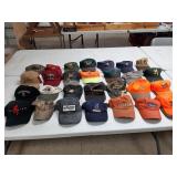 Caps some new: Browning,  cabelas,  NY, pheasants