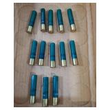 13 - .410 Shotgun Shells