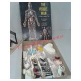 Vintage The Visible man science project