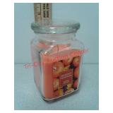 New Harvest pumpkin scented candle