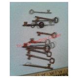 12 various skeleton keys