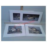 Neil Anderson signed and numbered Ducks Unlimited