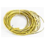 Extension Cord