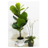 Faux Plants
