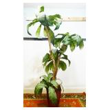 Faux Plant