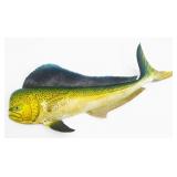 Wall Mounting Mahi-Mahi