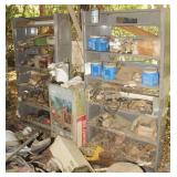 Shelves with Contents