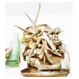 Deer Antler Pieces