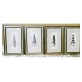 Four Framed Tree Prints