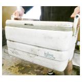 Igloo Legend 36 Cooler, Needs Cleaning