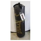 Everlast Nevatear 80 lb. heavy bag with speed bag