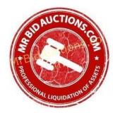 Mr Bid Auctions Logo (NFS)
