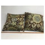 2 Throw Pillows