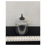 Clear Plastic Container/Display