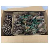 Box of Pinecones